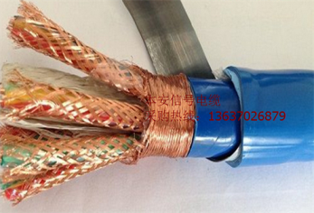 計(jì)算機(jī)電纜IA-DJYJPVP22-6*2*1.0