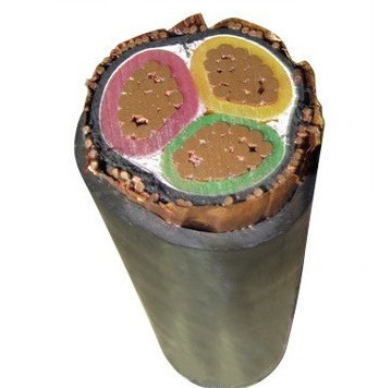 變頻電纜?BPFFP(P2)-3*240